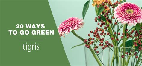 20 Green Event Giveaways, Gifts & Tips You Should Try this Year.